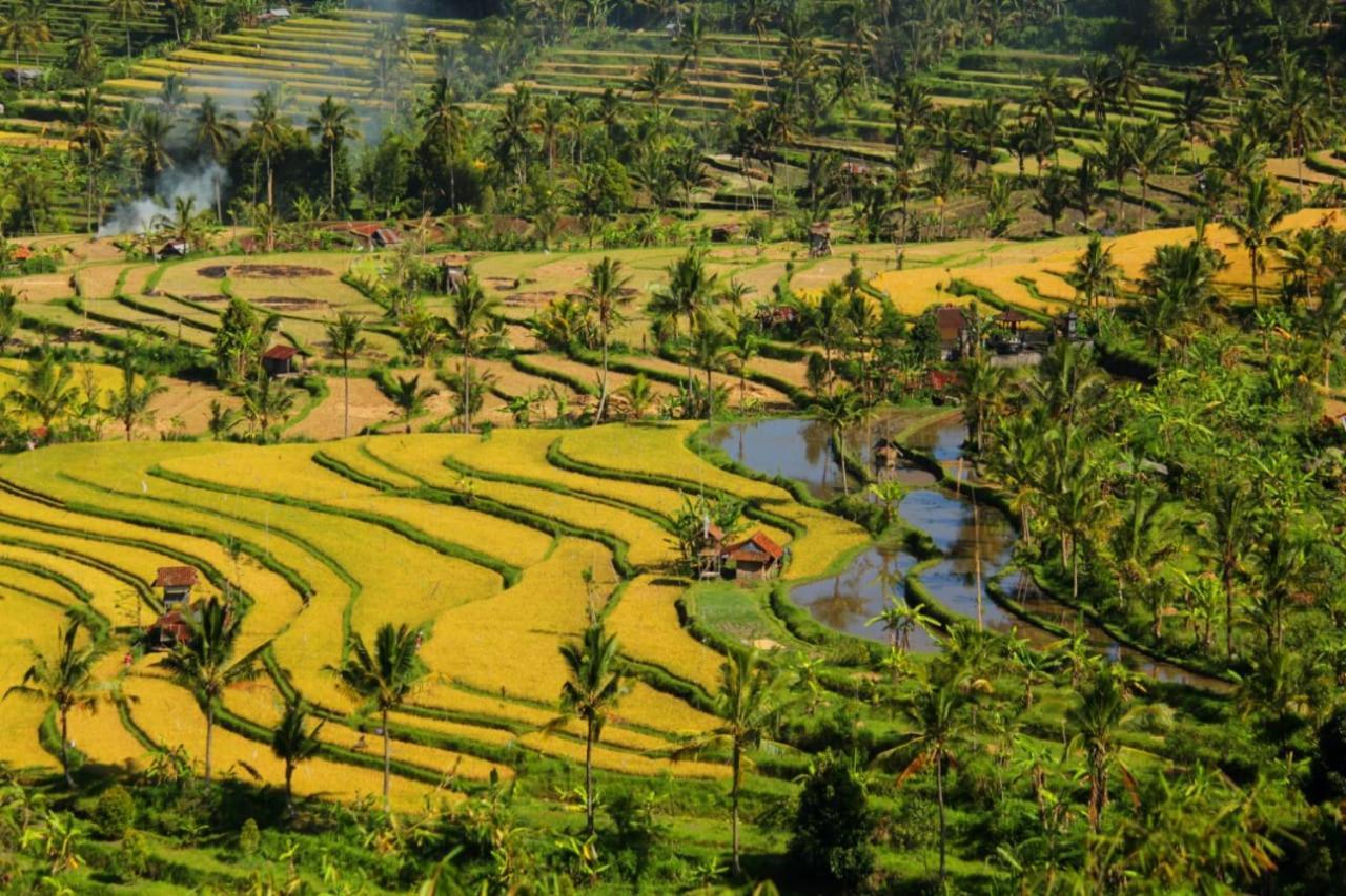 Bali Munduk Delux Bungalow Villa Singaraja Esterno foto