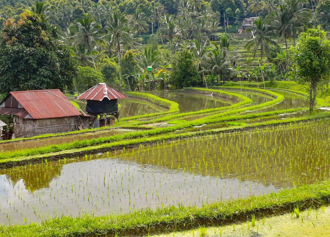 Bali Munduk Delux Bungalow Villa Singaraja Esterno foto