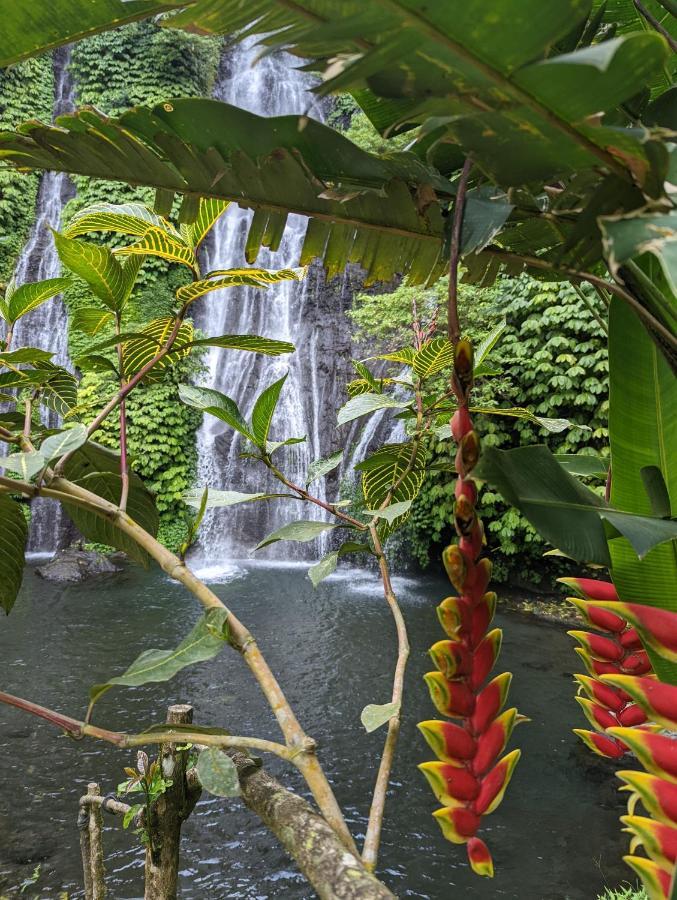 Bali Munduk Delux Bungalow Villa Singaraja Esterno foto