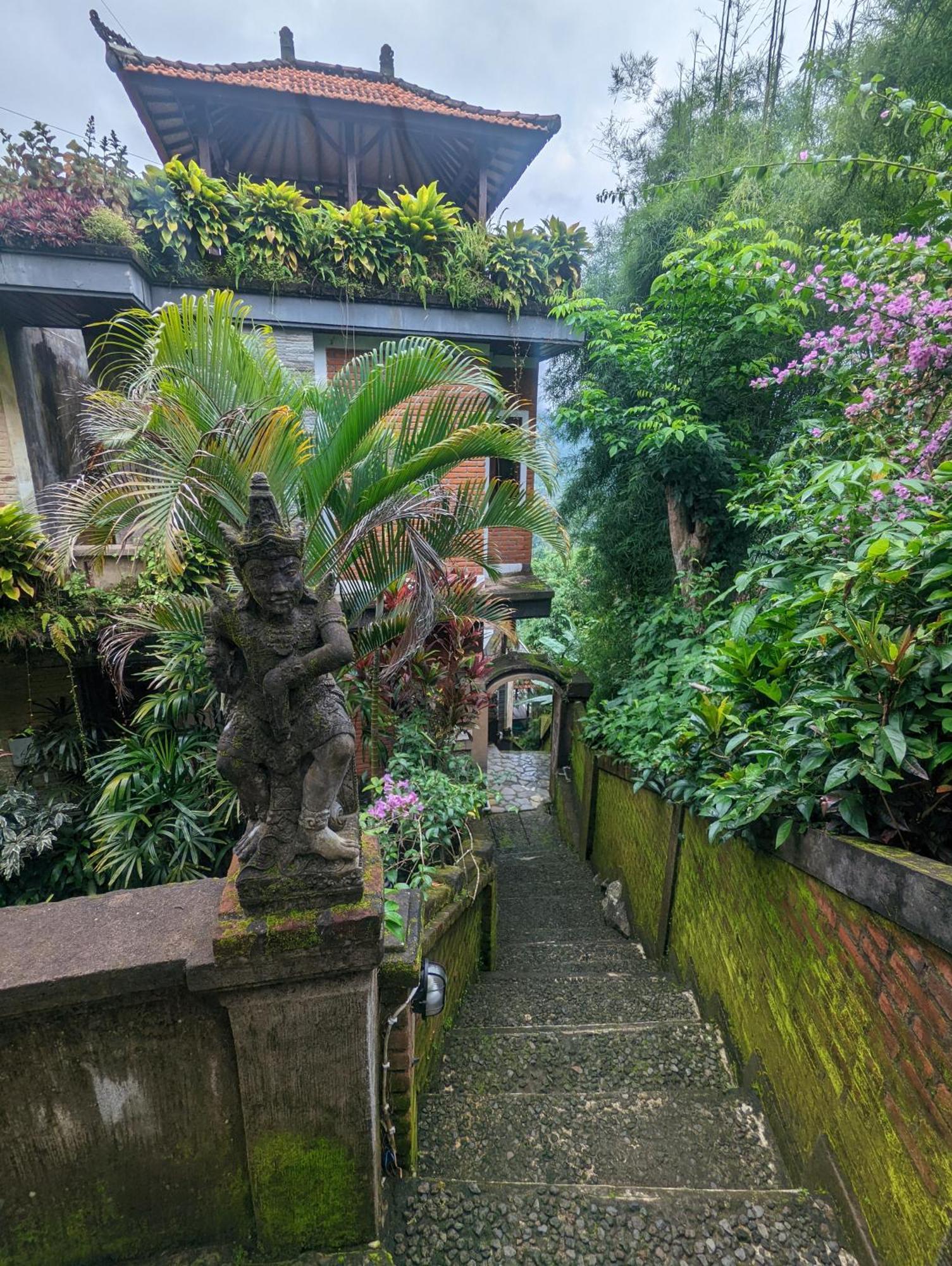 Bali Munduk Delux Bungalow Villa Singaraja Esterno foto