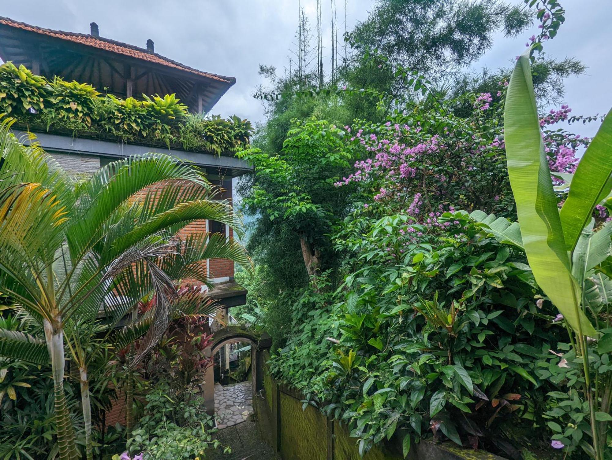 Bali Munduk Delux Bungalow Villa Singaraja Esterno foto