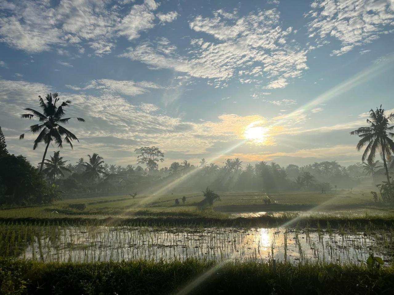 Bali Munduk Delux Bungalow Villa Singaraja Esterno foto